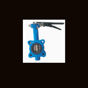 Butterfly Valve Lug Type
